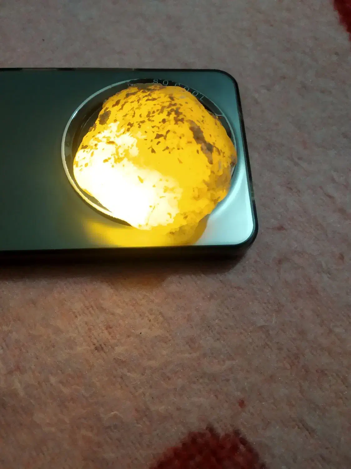 سنگ فسیل|کلکسیون اشیاء عتیقه|بروجرد, |دیوار