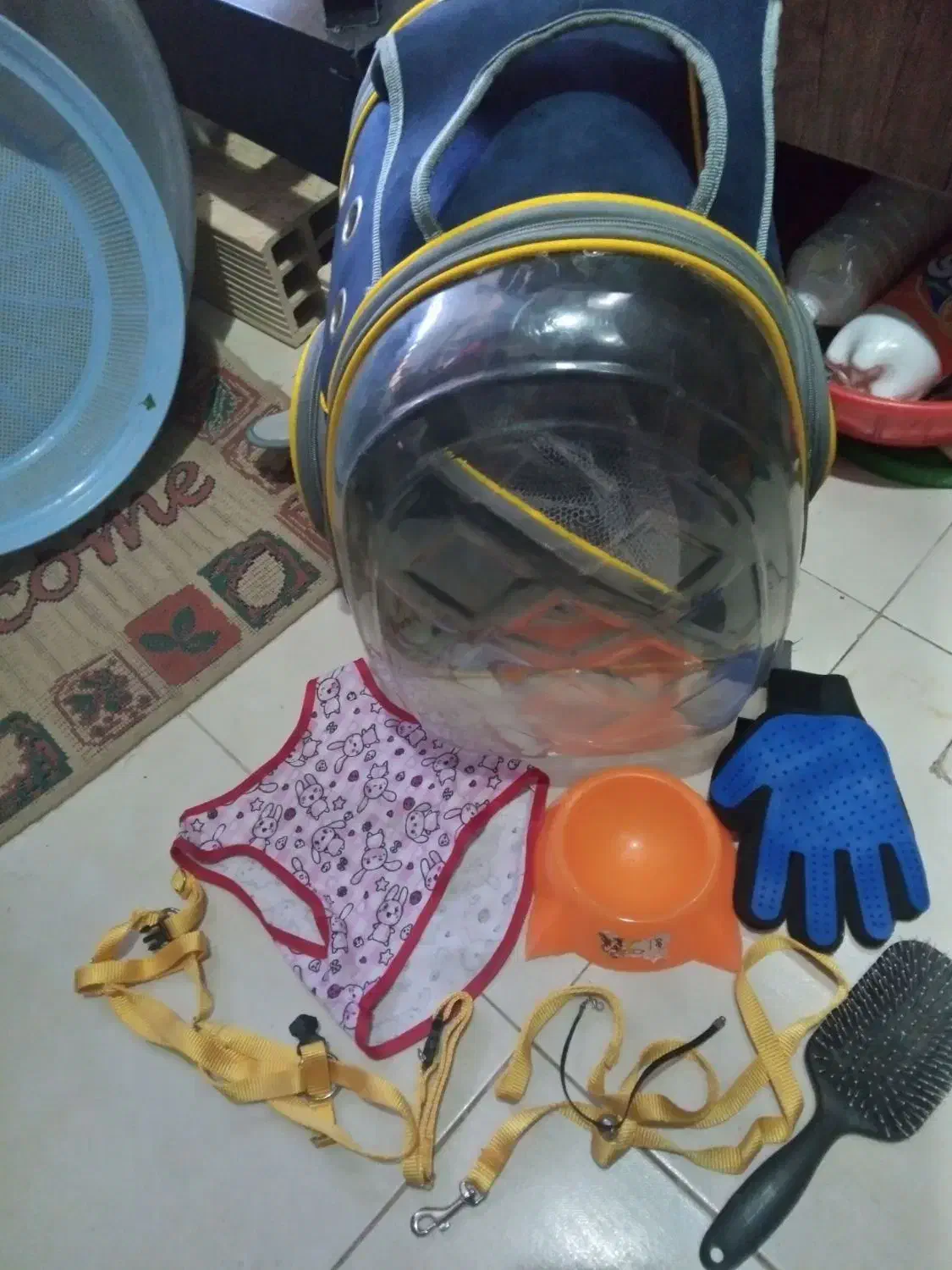 کیف هم پت. معاوضه با سگ 2ماه|کیف، کفش، کمربند|رشت, سعدی (تختی)|دیوار