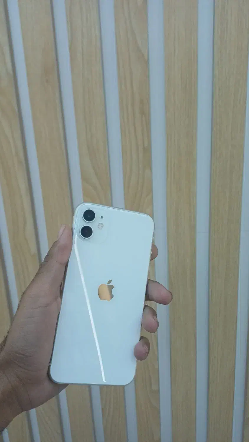 iPhone 11 normal 128|موبایل|بیرجند, |دیوار