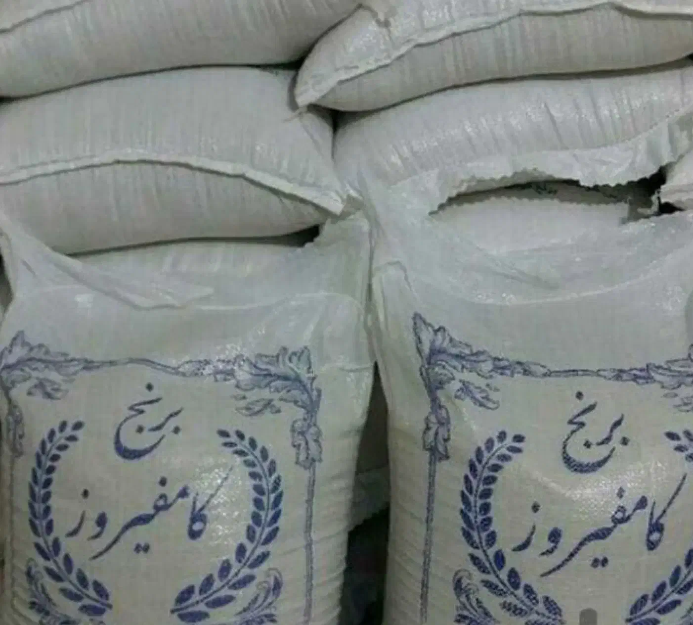 برنج کامفیروزی درجه یک از دیار رنج و برنج|خوردنی و آشامیدنی|کامفیروز, |دیوار