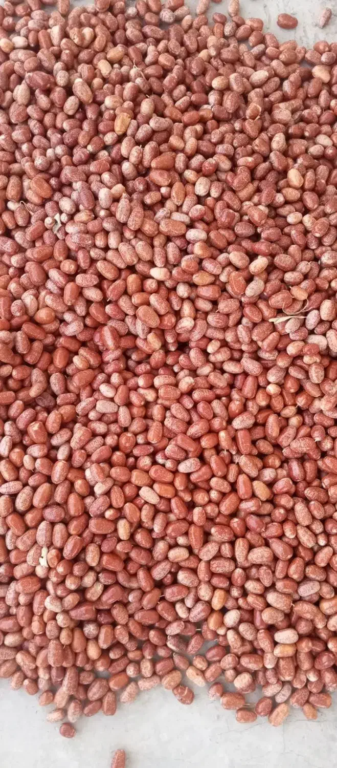 سنجد شکر پاره|خوردنی و آشامیدنی|شادیان, |دیوار