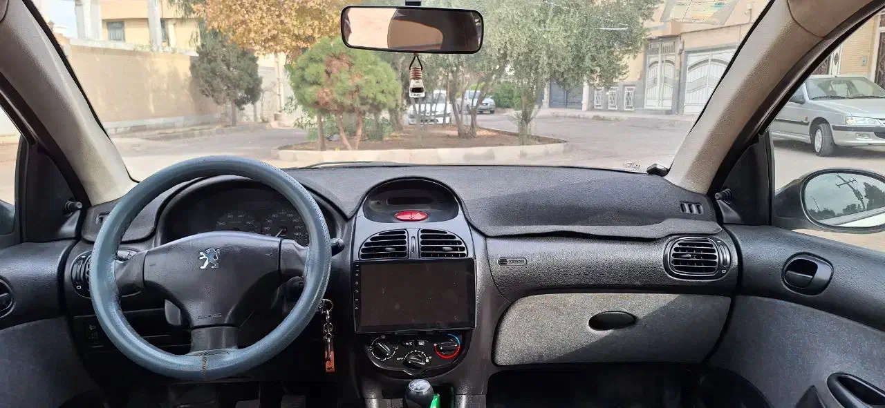 206 SD V 20|خودرو سواری و وانت|یزد, |دیوار