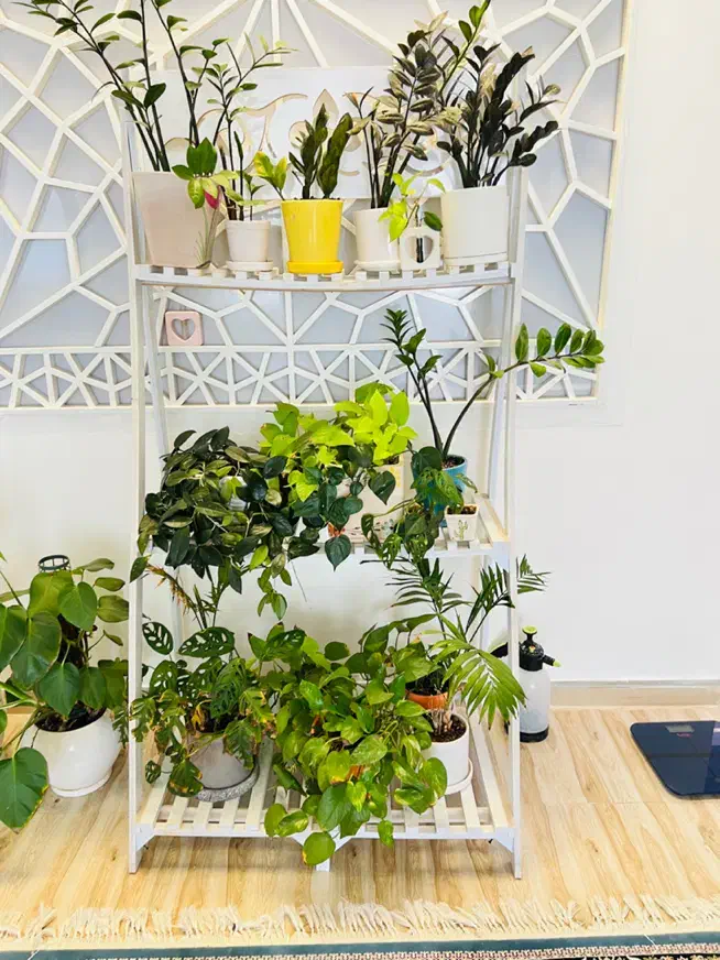 استند گل پی وی سی|کتابخانه، شلف، قفسه‌های دیواری|بیرجند, |دیوار