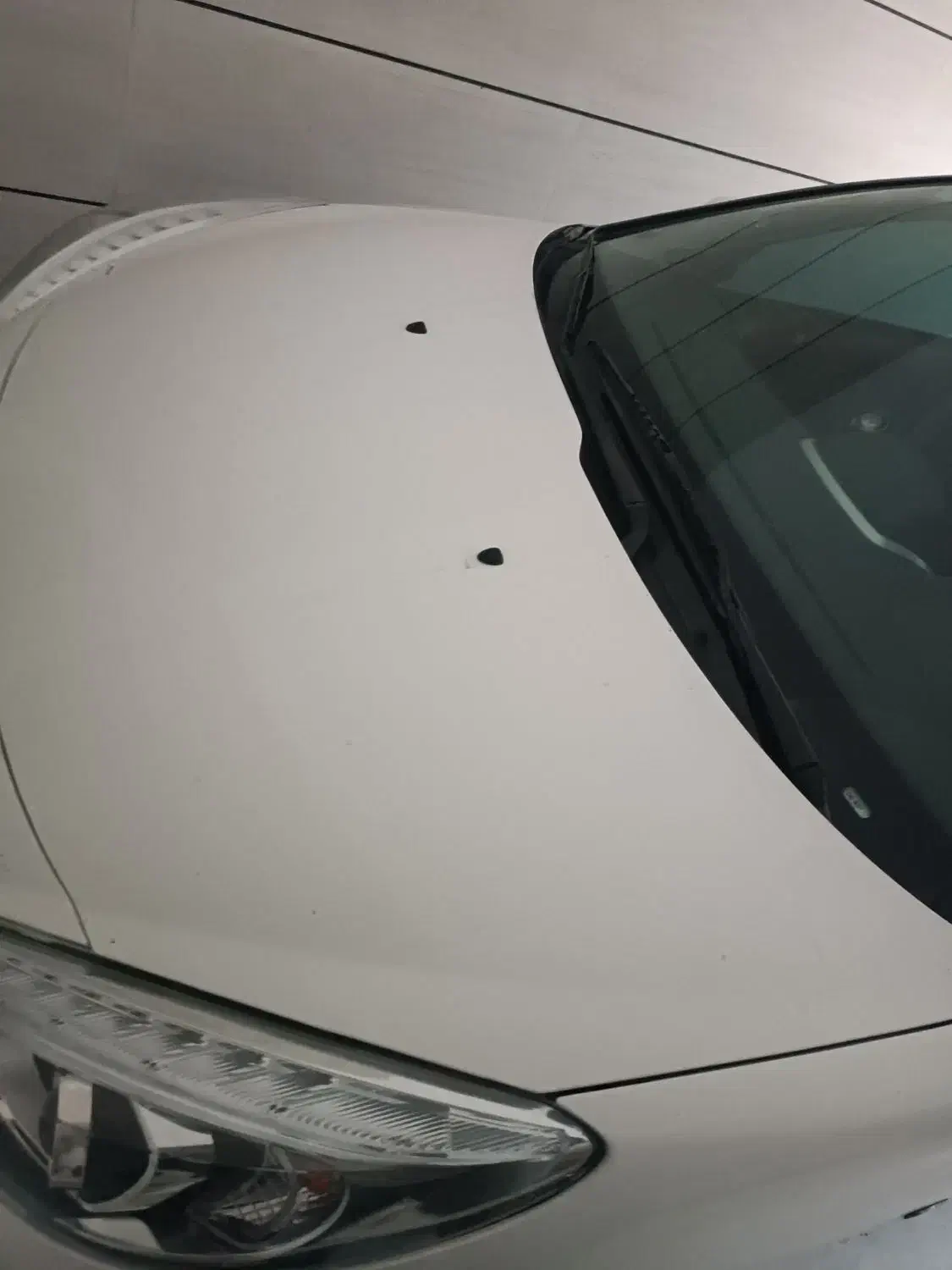 پژو 207 سقف فلز TU5 مدل 1404|خودرو سواری و وانت|کوه چنار, |دیوار