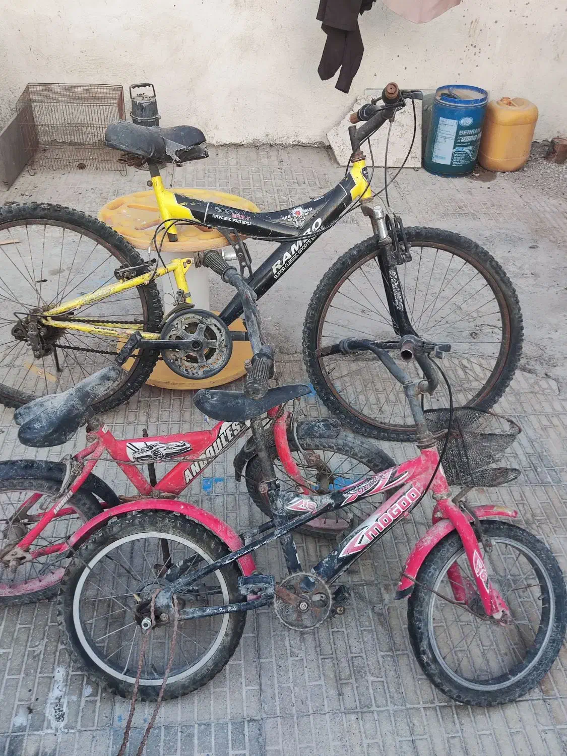 دوچرخه|دوچرخه، اسکیت، اسکوتر|بندرعباس, |دیوار