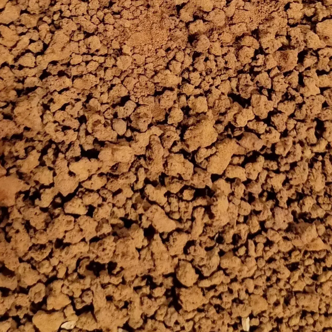 گلد کلاسیک پودری فوری|عمدهفروشی|کرج, شهرک طالقانی|دیوار