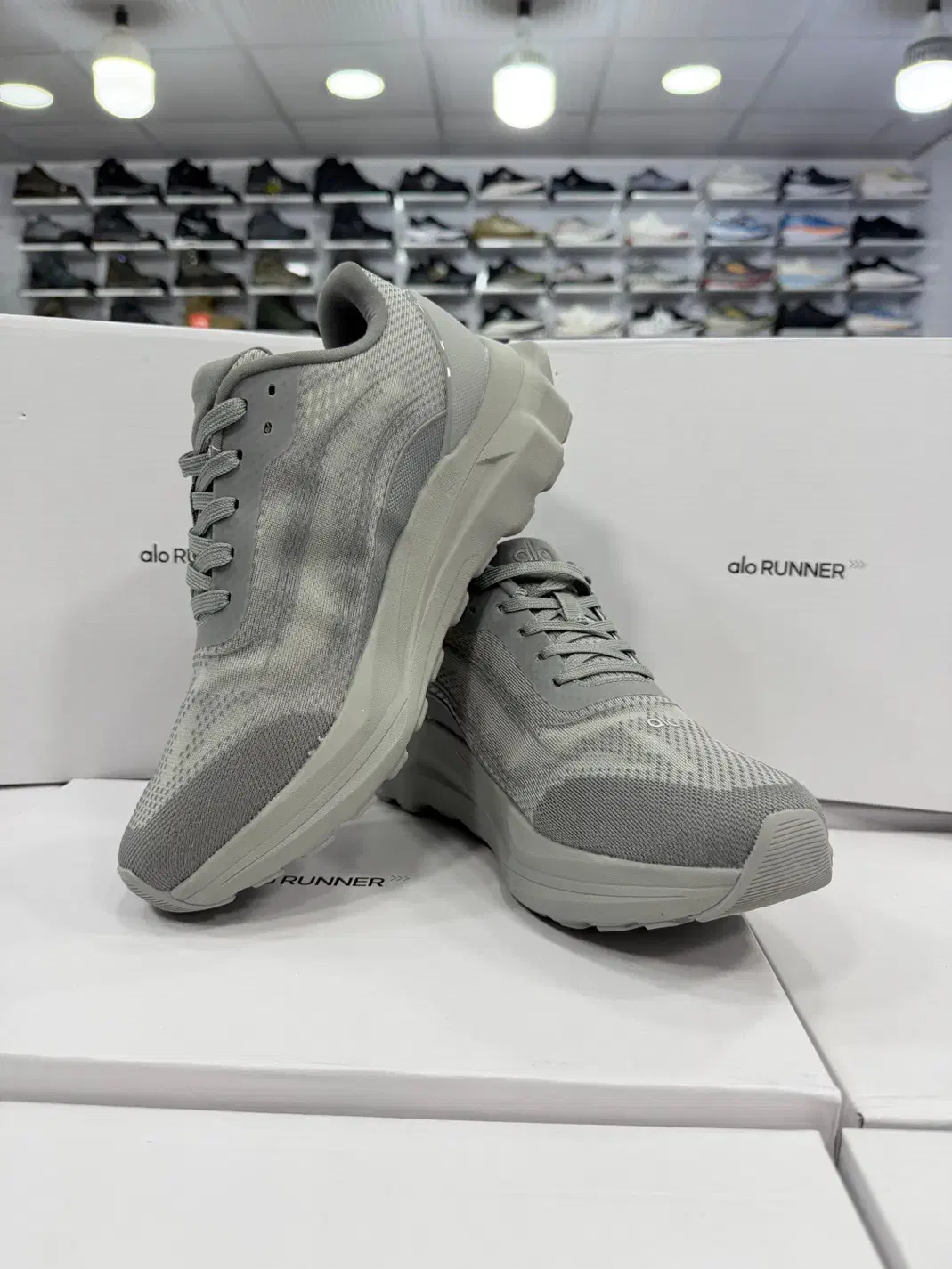 کتونی مستر (alo)|کیف، کفش، کمربند|تهران, سلسبیل شمالی|دیوار