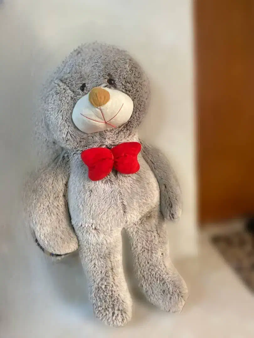 عروسک پولیشی خرسی|اسباببازی|مشهد, شهید هاشمی نژاد|دیوار