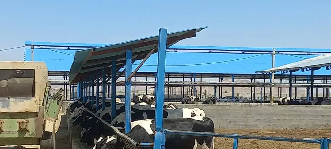 دام طیور از تولید تا اجرا ورقهای شیروانی پی وی سی|خدمات پیشه و مهارت|مشهد, سازمان آب|دیوار