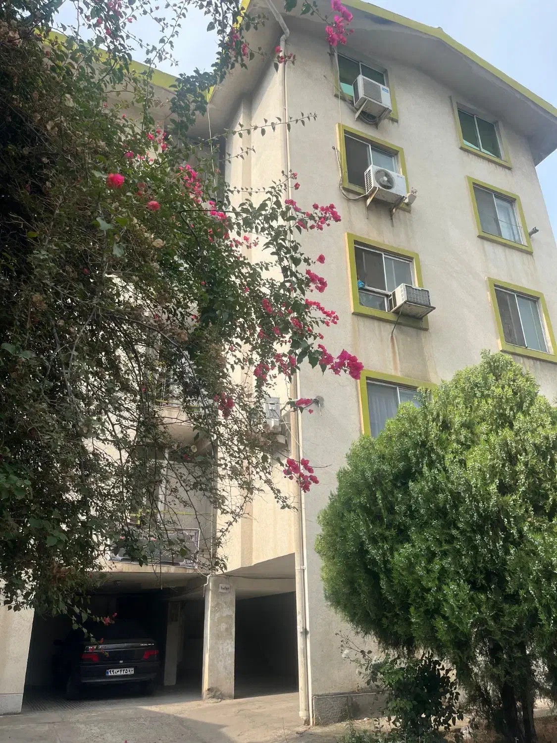 همخانه خانم بدون حاشیه و امن|اجارهٔ آپارتمان|بابل, |دیوار