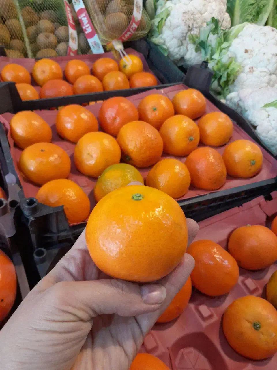 میوه باارسال رایگان در قم|خوردنی و آشامیدنی|قم, ولیعصر|دیوار