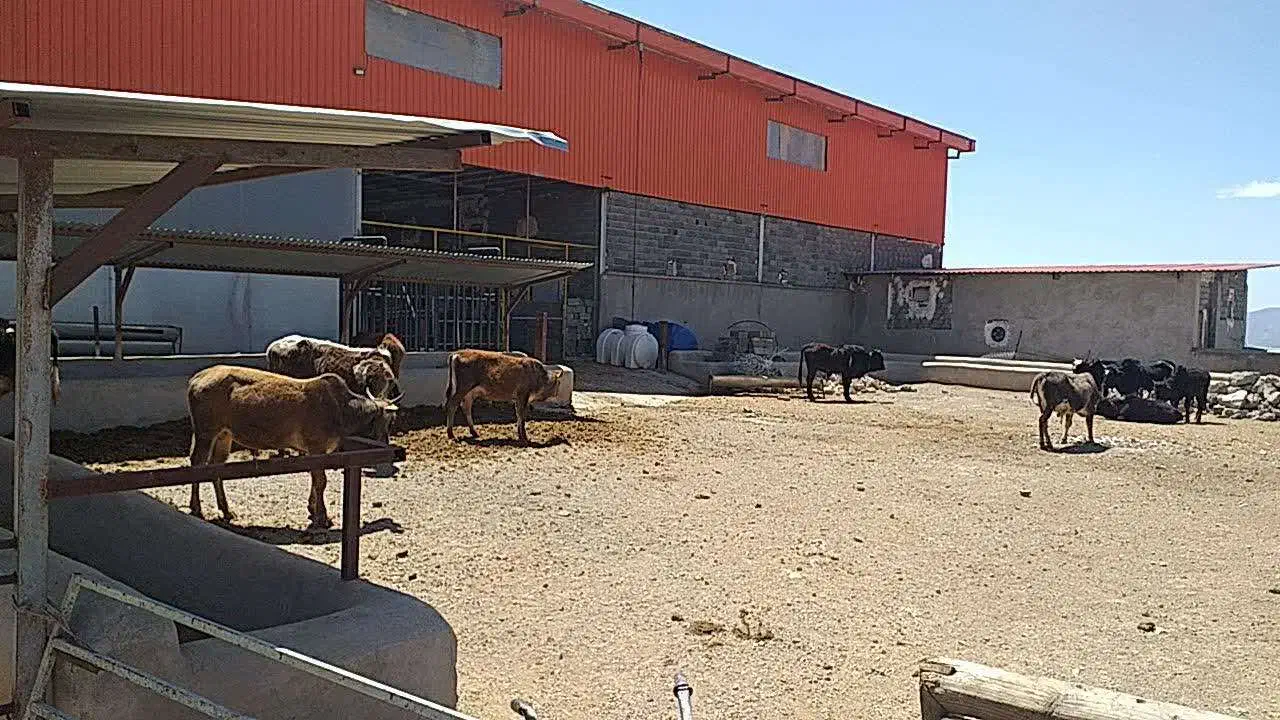 اجاره دامداری شهرستان دماوند|اجارهٔ دفتر صنعتی، کشاورزی، تجاری|دماوند, دماوند|دیوار