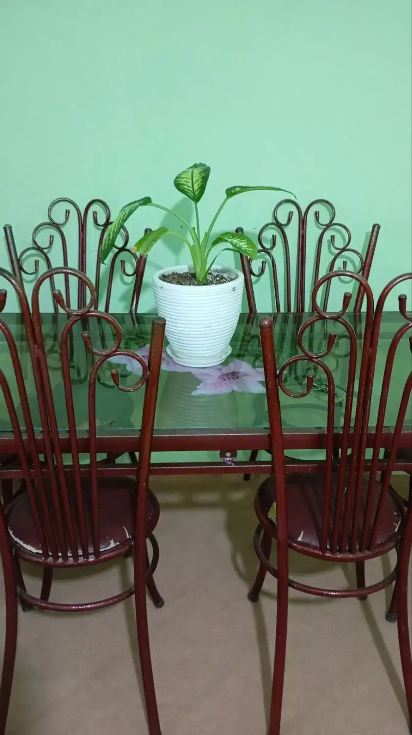 غذا خوری6 نفره فلزی|میز و صندلی غذاخوری|شیروان (خراسان), |دیوار