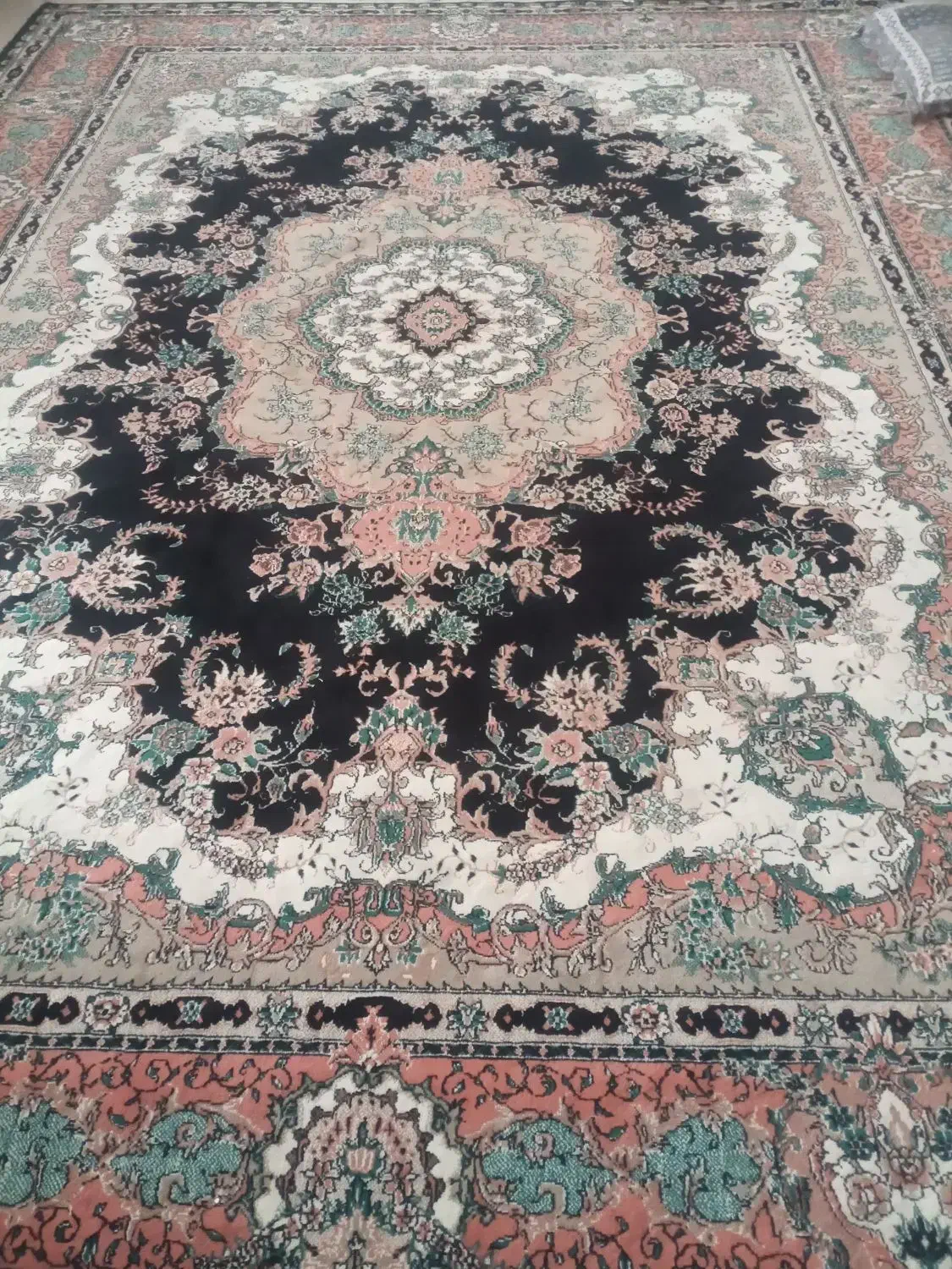 سلام دو عدد فرش ۱۲ متری در حد نو|فرش|بیرجند, |دیوار