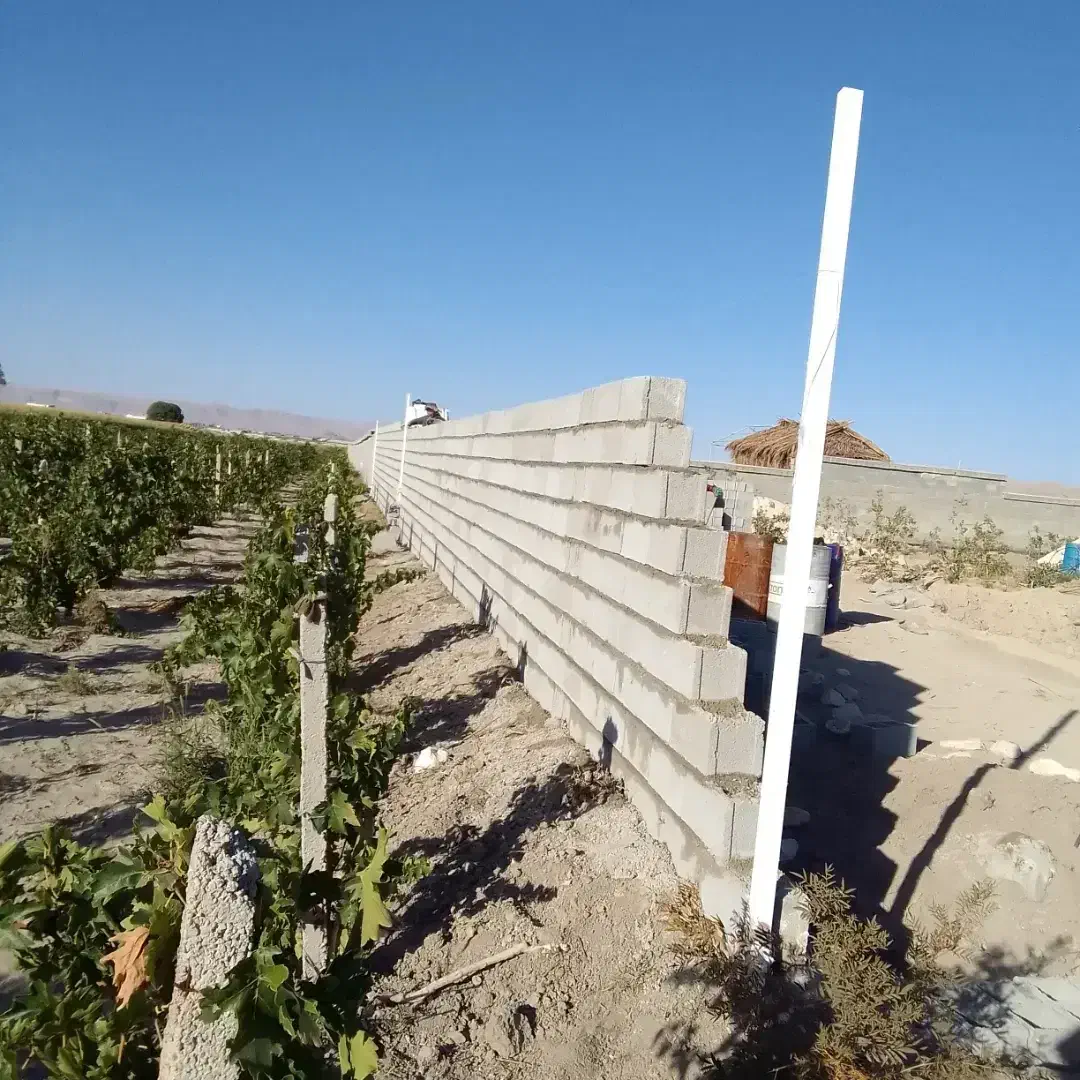 استاد بنا پلاستر ونرمه غیره وغیره|خدمات پیشه و مهارت|شیراز, دوکوهک|دیوار