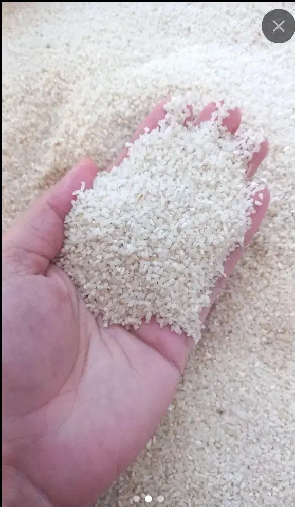 فروش نیم دانه طارم هاشمی تمبز و سورت شده|خوردنی و آشامیدنی|آمل, |دیوار