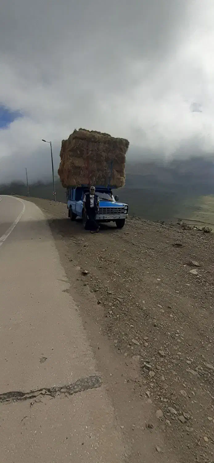 کاه یا سرچینه|لوازم جانبی حیوانات|تالش, تالش|دیوار