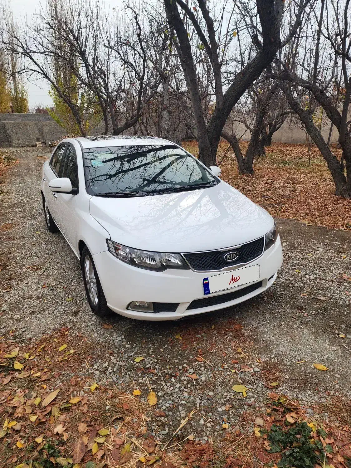 سراتو ۹۷ آپشنال تگ برگ سند|خودرو سواری و وانت|تهران, اکباتان|دیوار