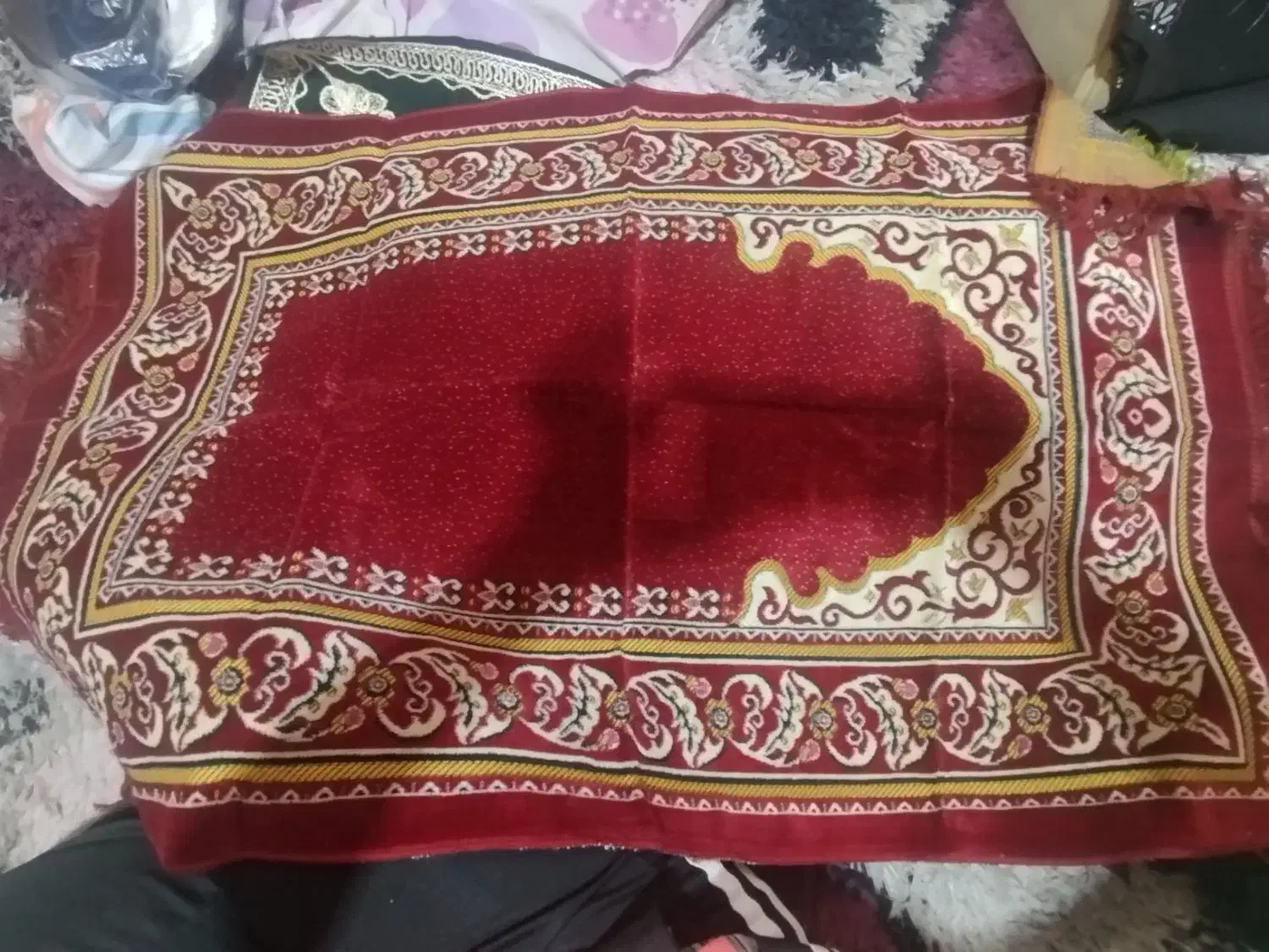 سجاده نو|فرش|زاهدان, |دیوار