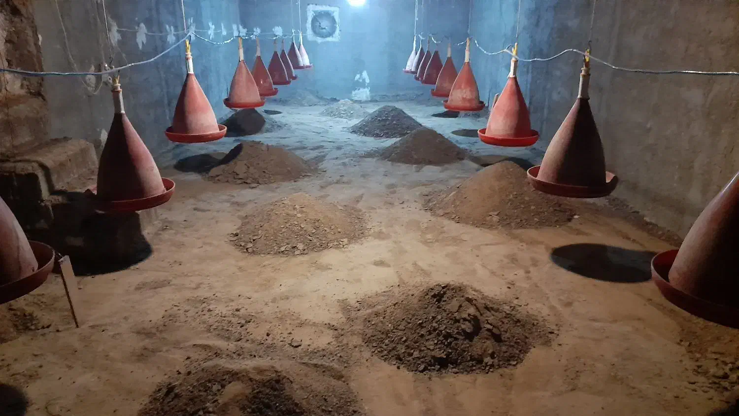 فروش کود مرغ|خدمات باغبانی و درختکاری|سوق, |دیوار