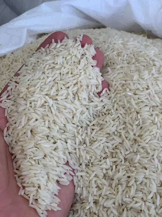 برنج هاشمی سه الکه اعلا|خوردنی و آشامیدنی|رشت, عینک|دیوار
