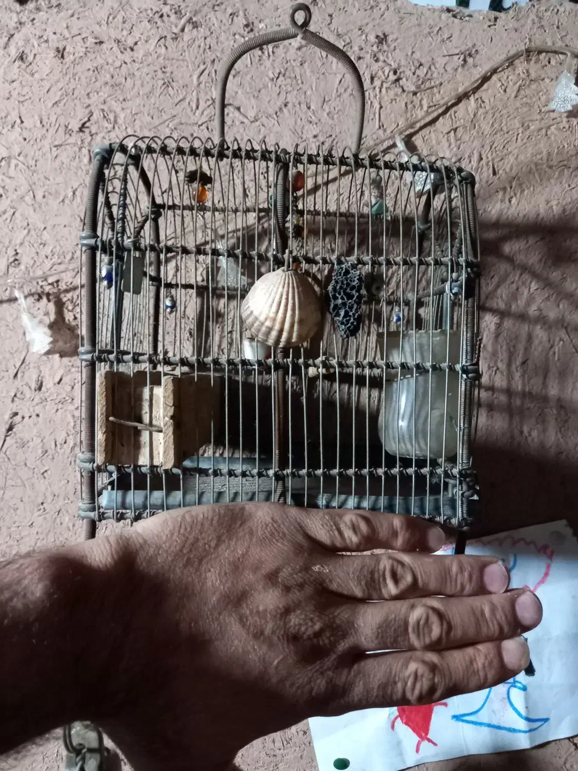 قفس سهره|لوازم جانبی حیوانات|پاکدشت, حصار امیر|دیوار