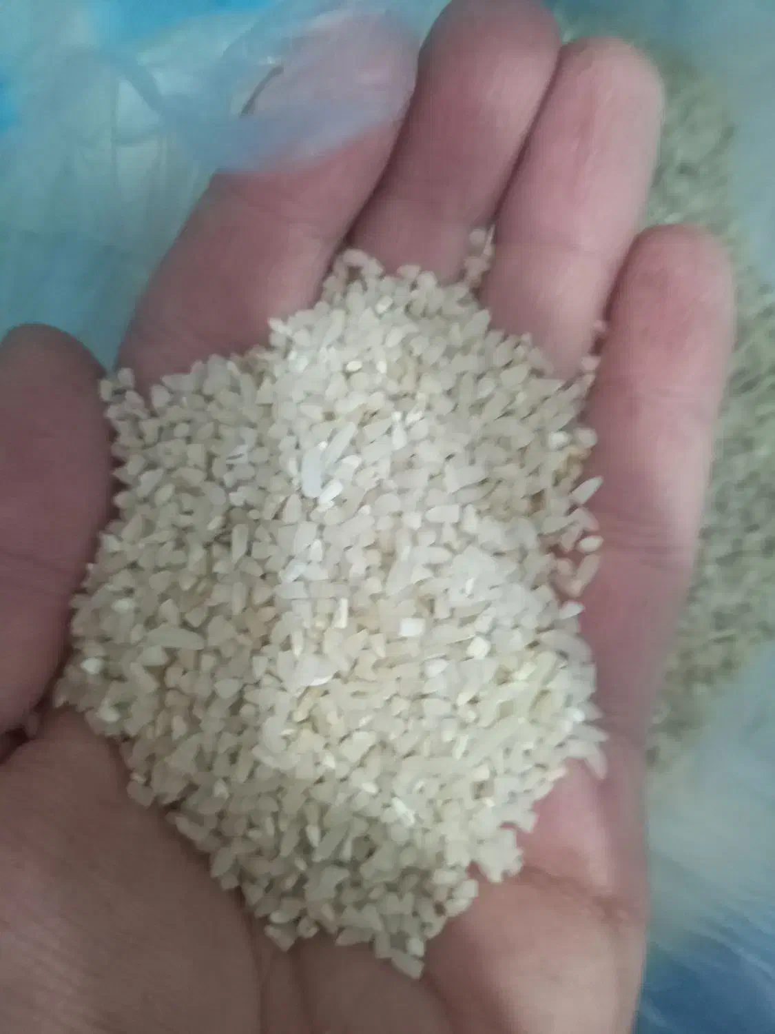 برنج و نیم برنج|خوردنی و آشامیدنی|ساری, |دیوار