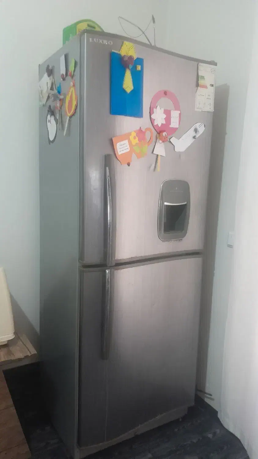 یخچال|یخچال و فریزر|بیرجند, |دیوار