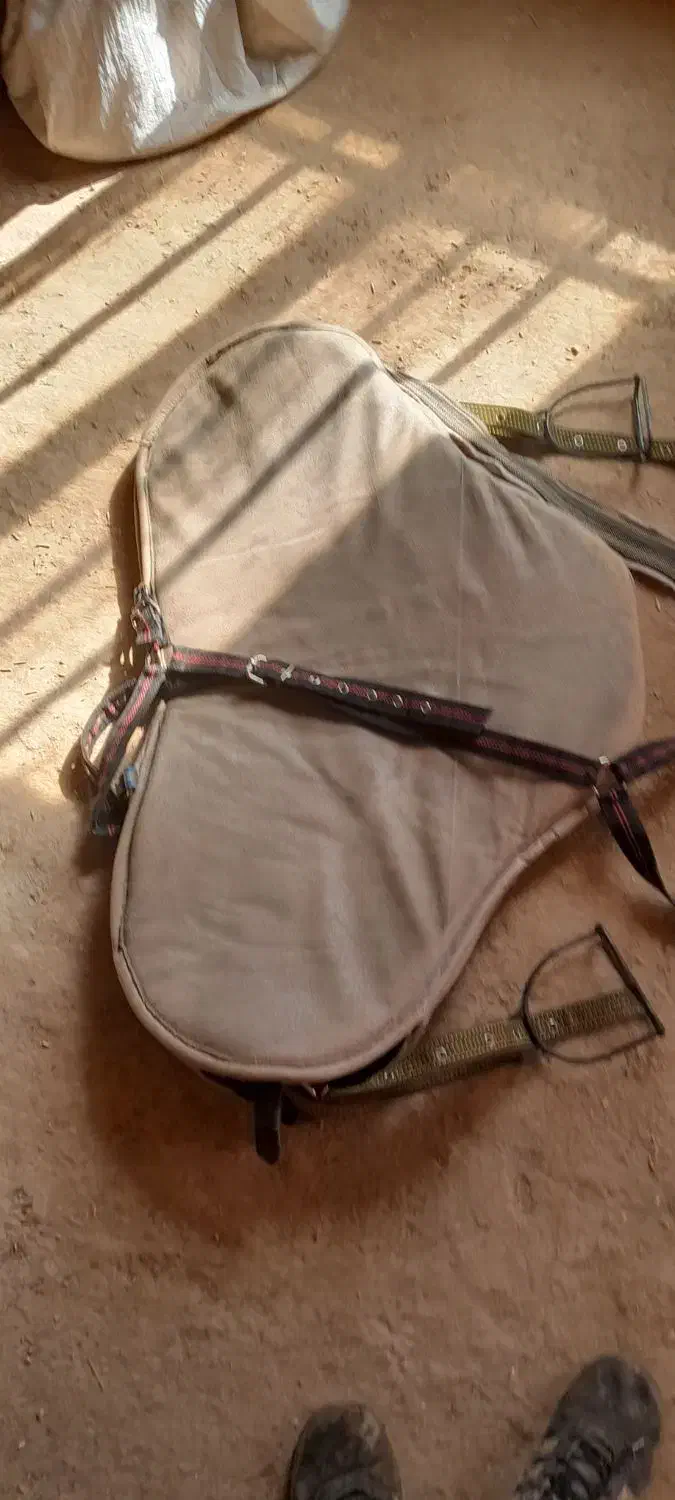 زین اسب|اسب و تجهیزات اسبسواری|گل تپه, |دیوار