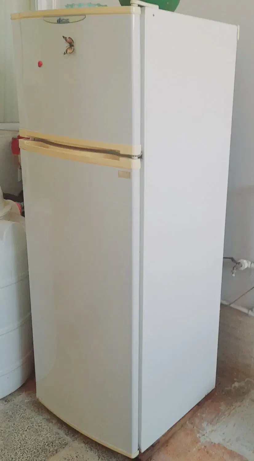 فروش فوری یخچال|یخچال و فریزر|رشت, لاکان شهر|دیوار