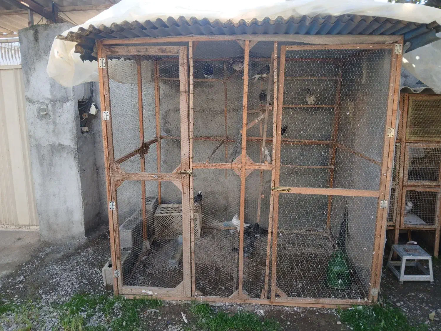 قفس چوبی کبوتر|لوازم جانبی حیوانات|کیاکلا, |دیوار