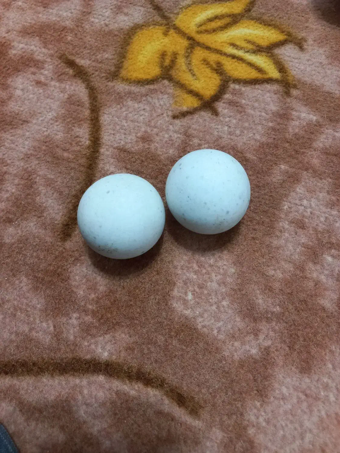 سنگ آسیاب|کلکسیون اشیاء عتیقه|باقرشهر, |دیوار