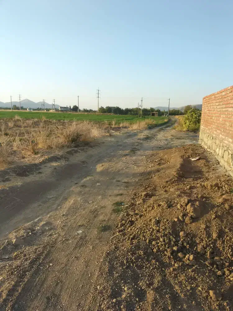 زمین کشاورزی نی|فروش دفتر صنعتی، کشاورزی، تجاری|مریوان, |دیوار