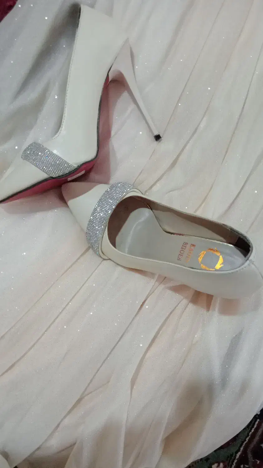 کفش و لباس مجلسی|لباس|سلماس, |دیوار