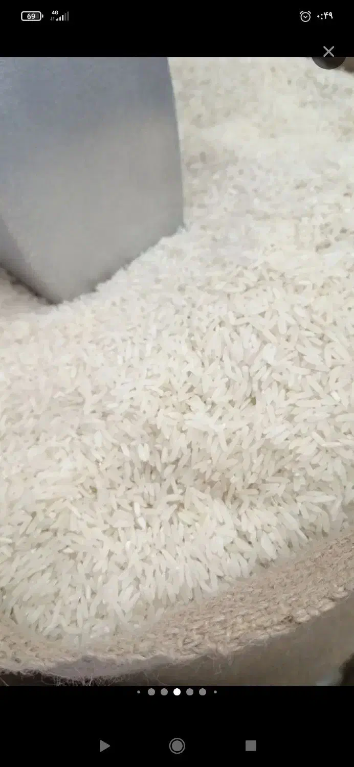 برنج طارم|خوردنی و آشامیدنی|رشت, فرزانه|دیوار