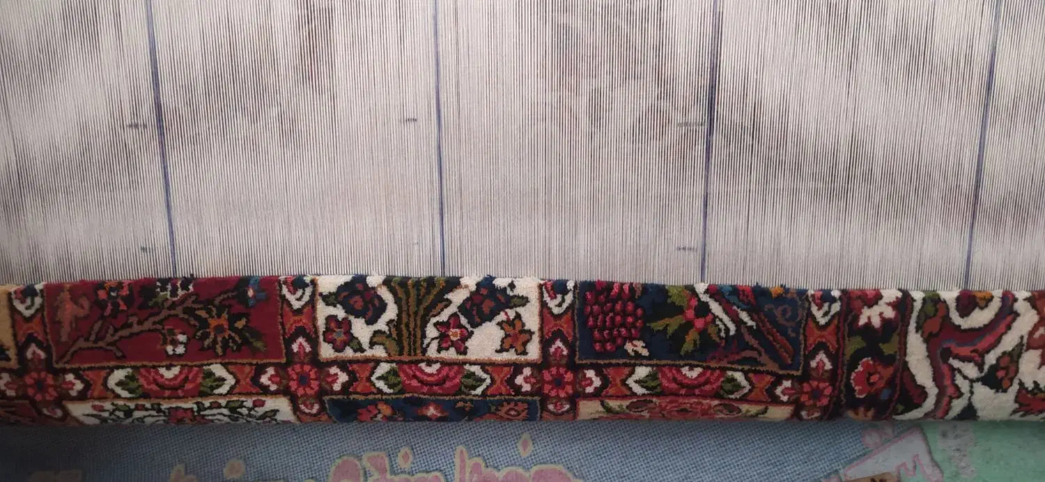 قالی نیمه بافته|گلیم، جاجیم، گبه|لاران, |دیوار