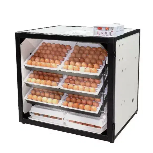 دستگاه جوجه کشی|ماشین‌آلات صنعتی|جهرم, |دیوار