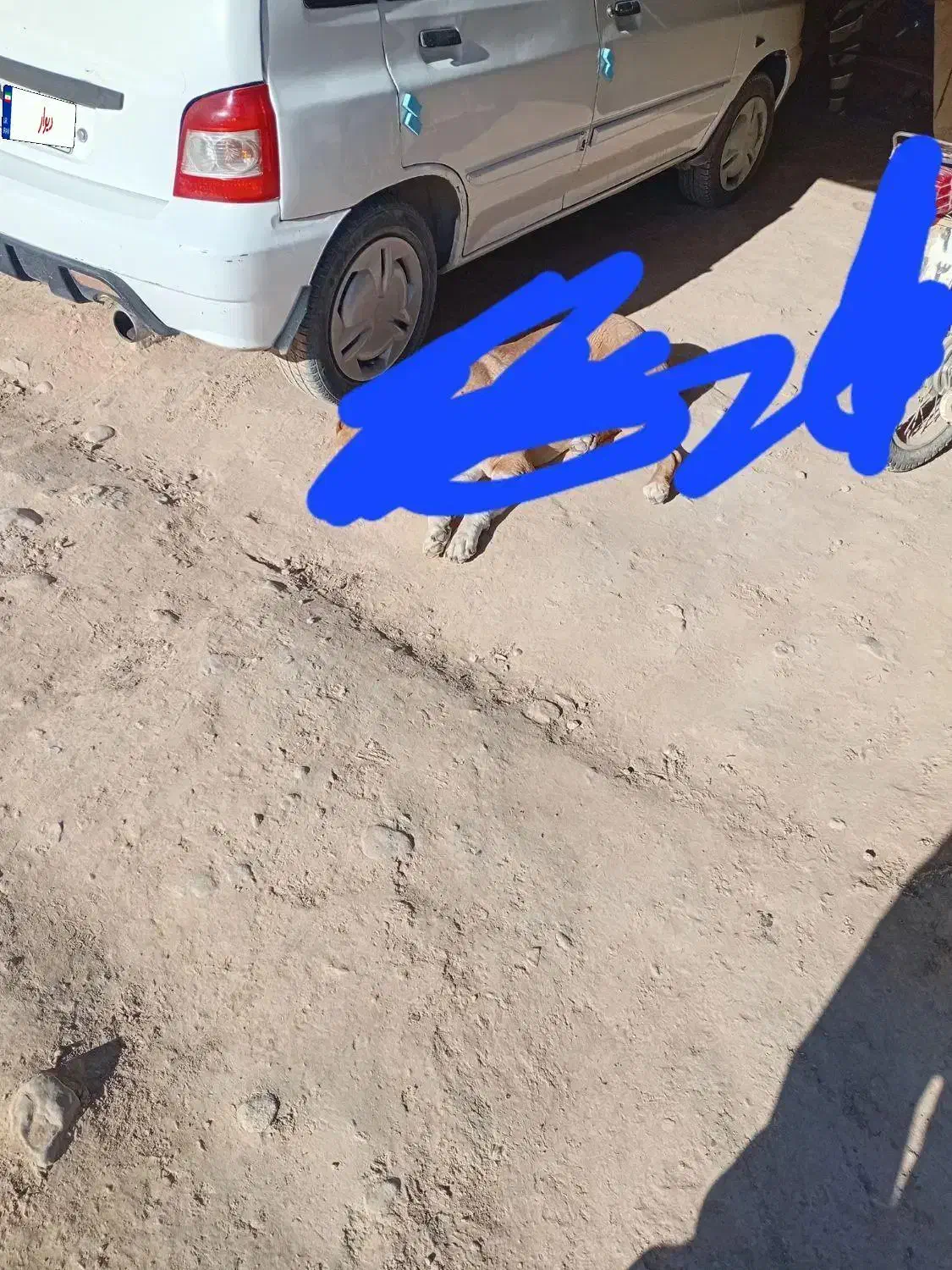 ۱۱۱|خودرو سواری و وانت|شیروان (خراسان), |دیوار