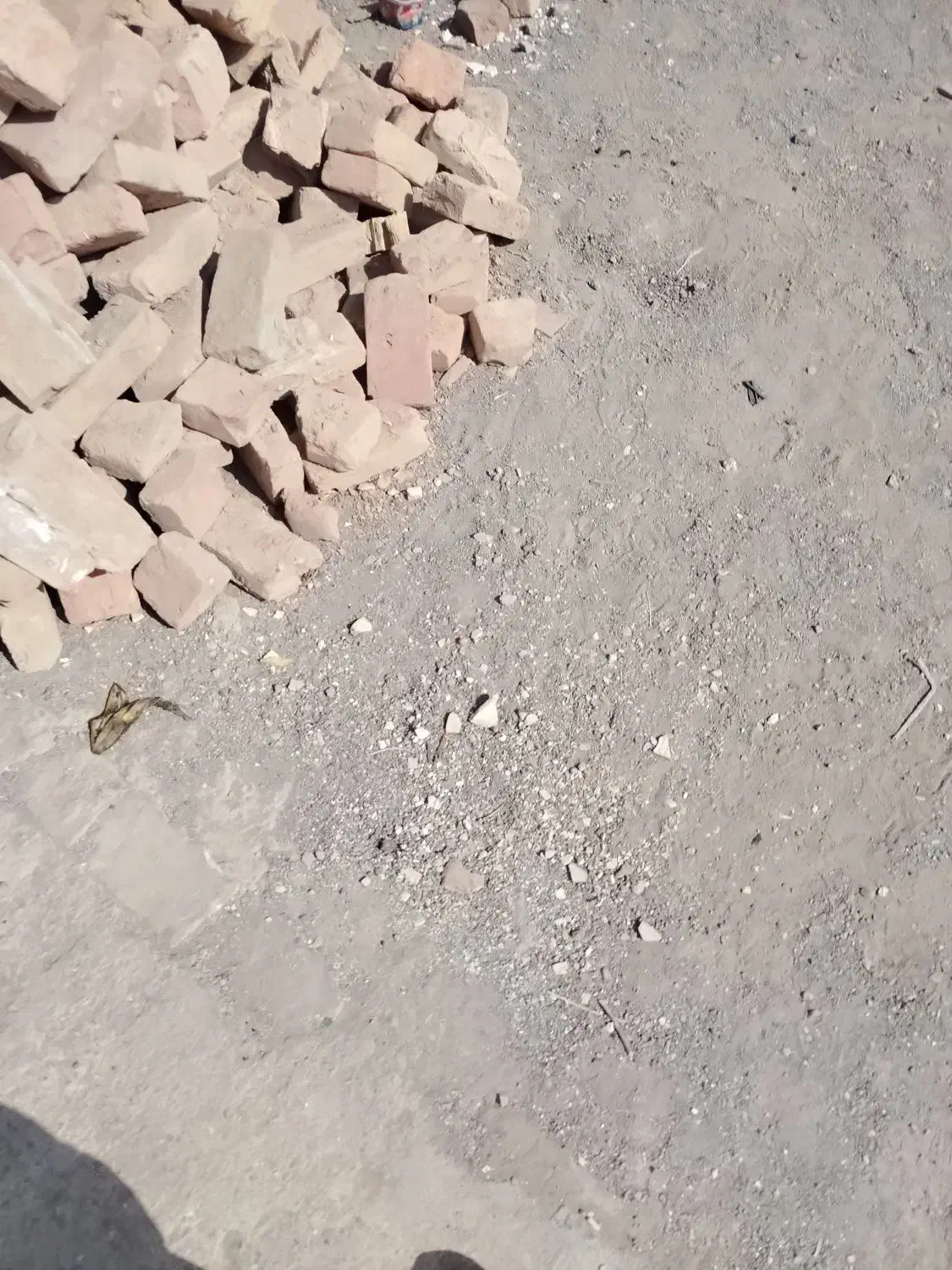 اجاره کارگاه 100متری|اجارهٔ دفتر صنعتی، کشاورزی، تجاری|بیرجند, |دیوار