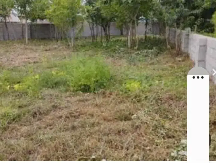 راهنمایی در مورد خرید زمین|فعالیت داوطلبانه تحقیقاتی|شاندرمن, |دیوار