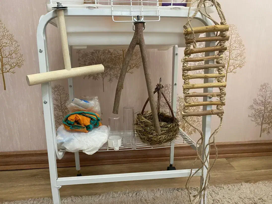 ۲ عدد قفس پرنده بهمراه ملزومات|لوازم جانبی حیوانات|رشت, کوی بیانی|دیوار