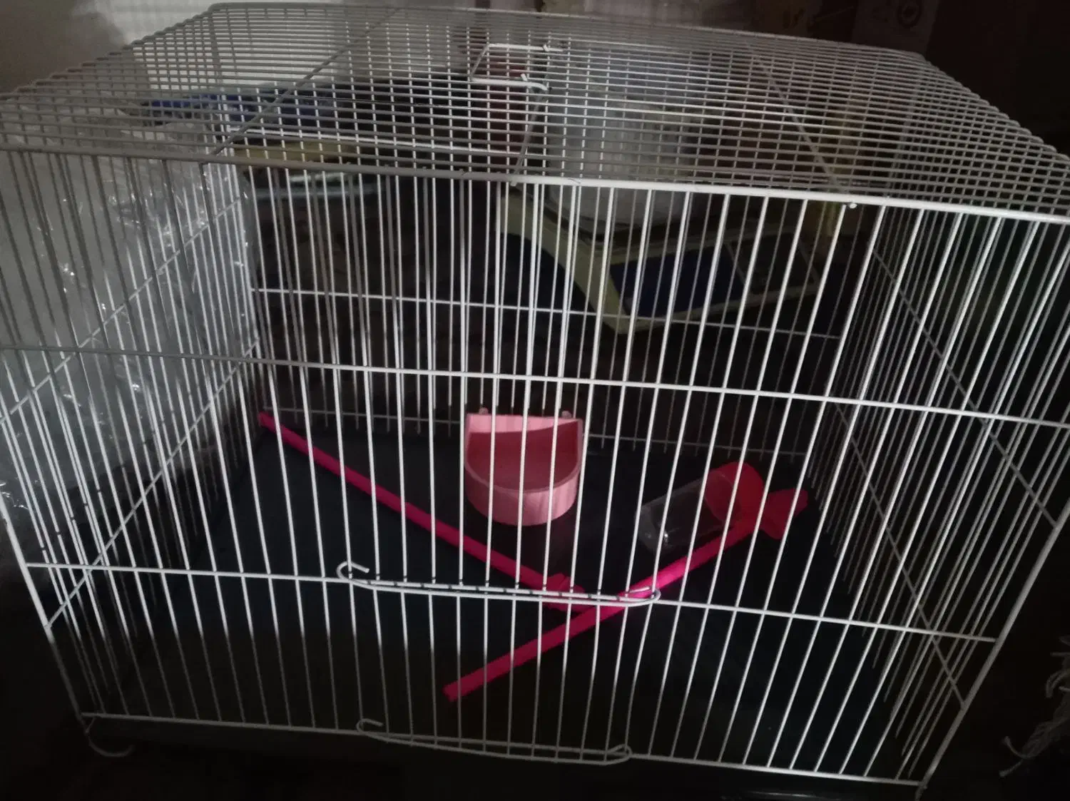 قفس نو|لوازم جانبی حیوانات|تربت‌حیدریه, باغ سلطانی|دیوار