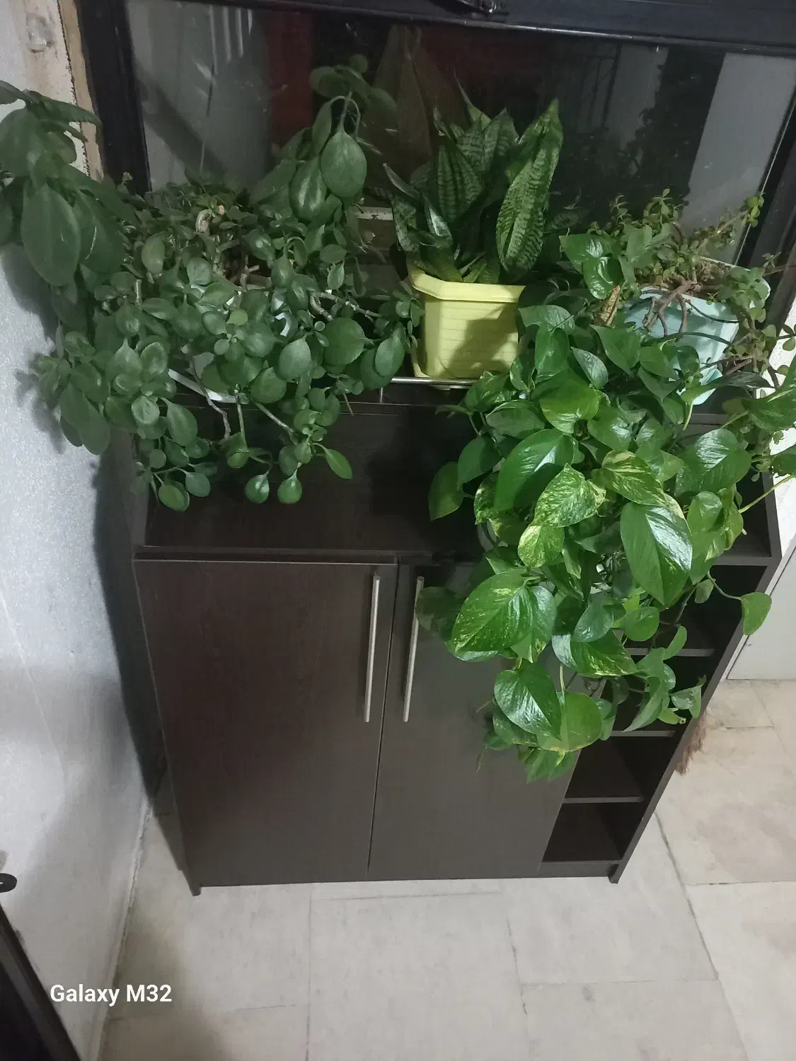 جاکفشی نو|جاکفشی، کمد، دراور|کرمانشاه, |دیوار