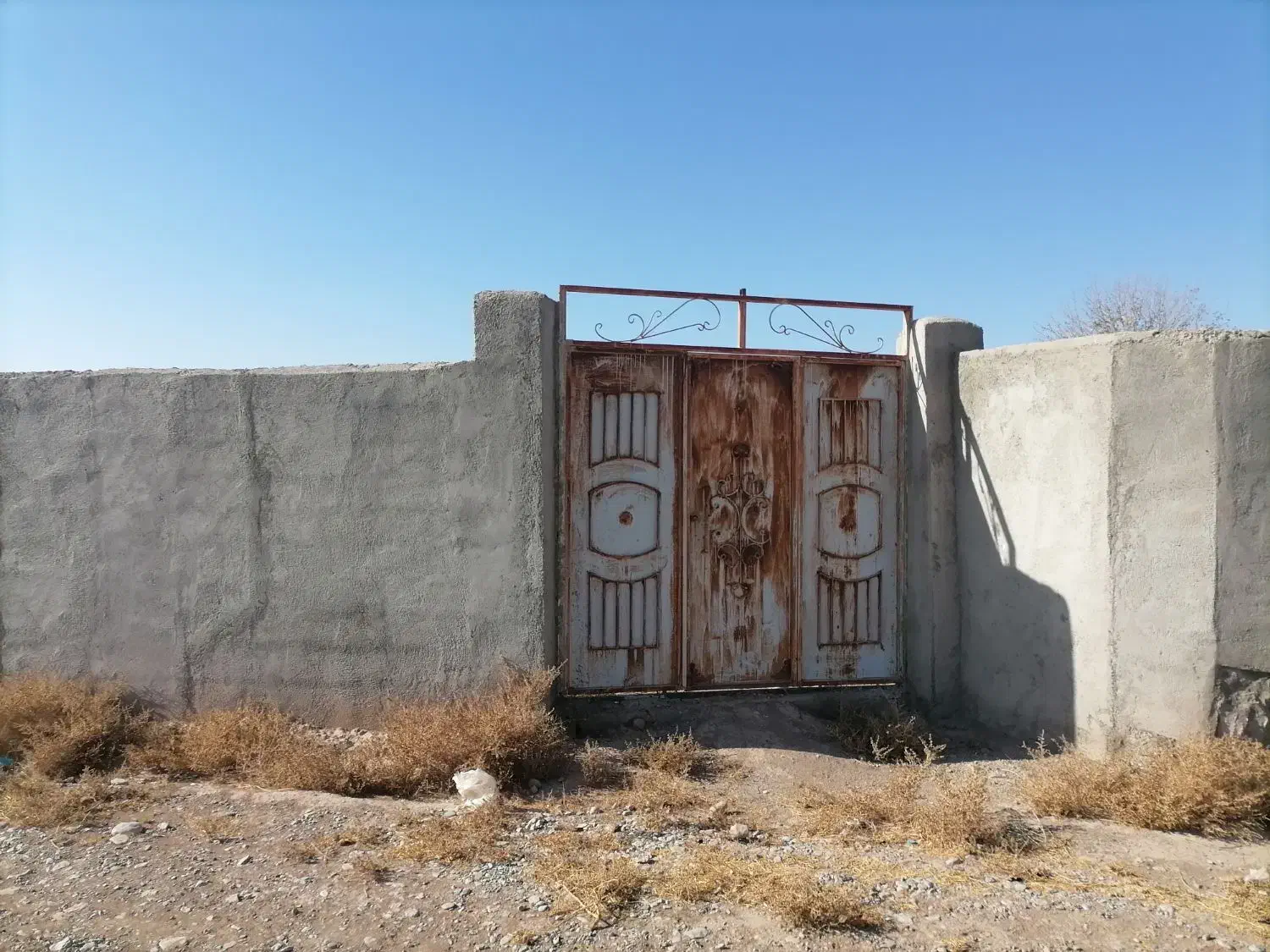 زمین 270 متری دور دیوار|فروش خانه و ویلا|رادکان, |دیوار