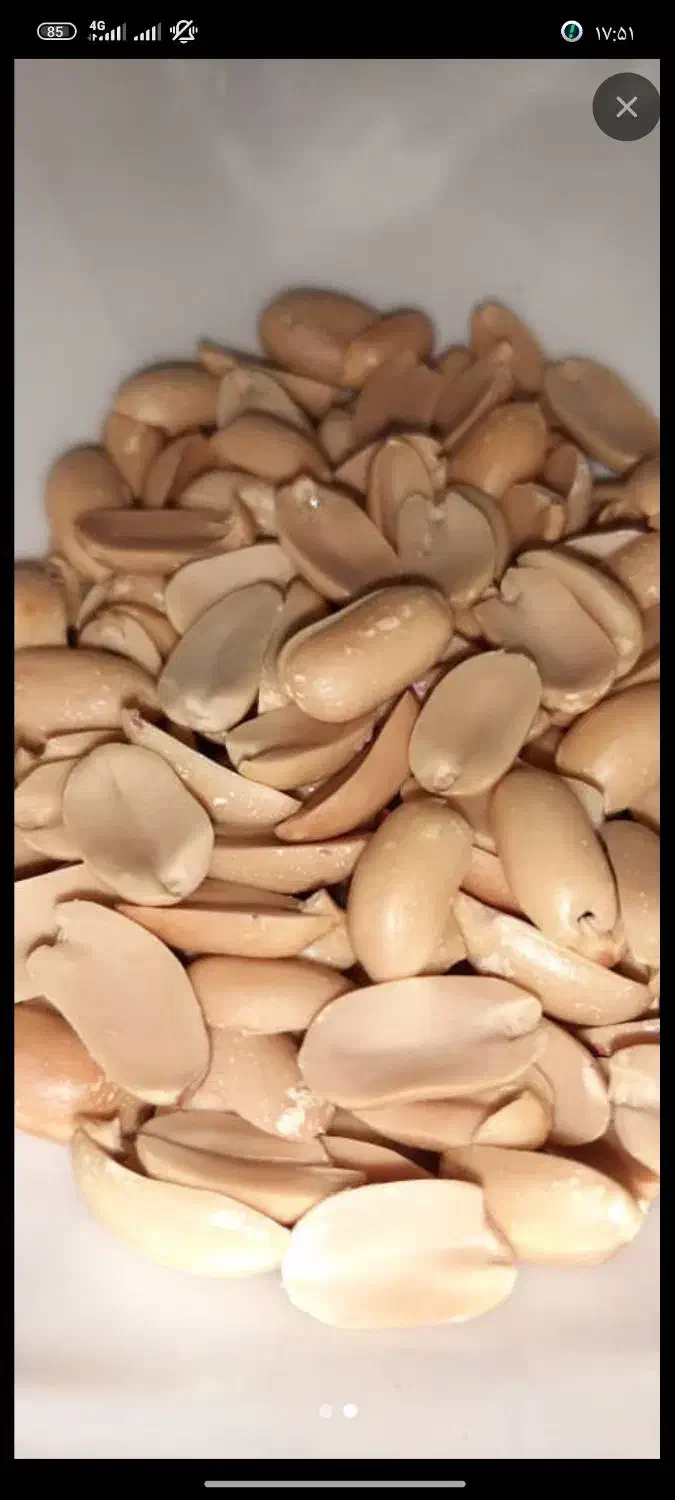 فروش و پخش کلیه محصولات خشکبار و تحویل در محل|عمده‌فروشی|خرمدره, |دیوار