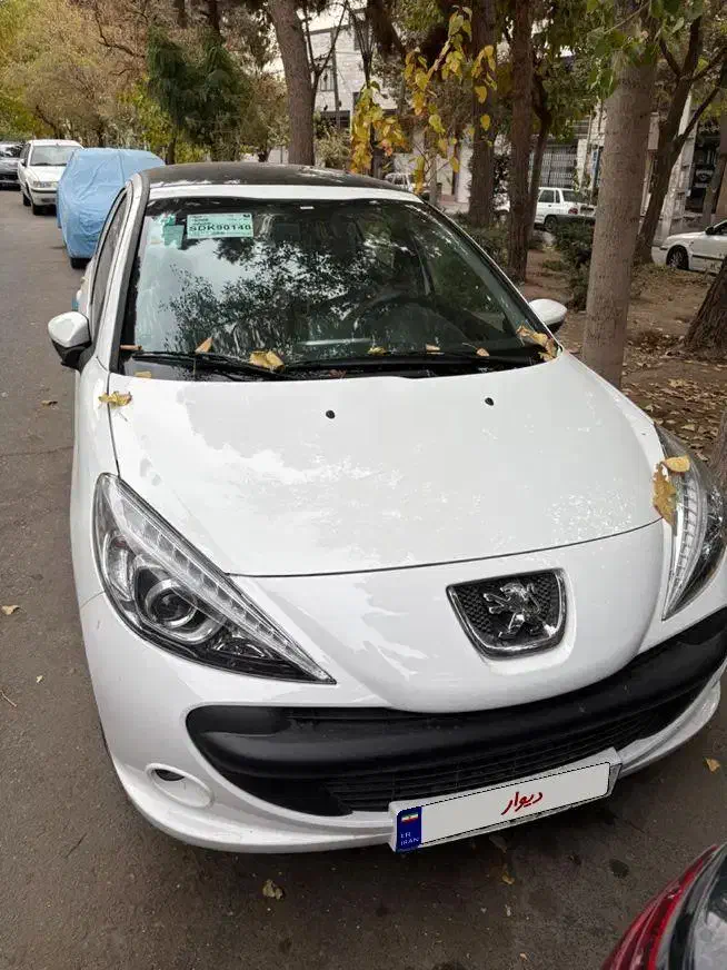 فروش ۲۰۷ پانا ارتقا یافته مدل ۱۴۰۴|خودرو سواری و وانت|کرج, کلاک نو|دیوار