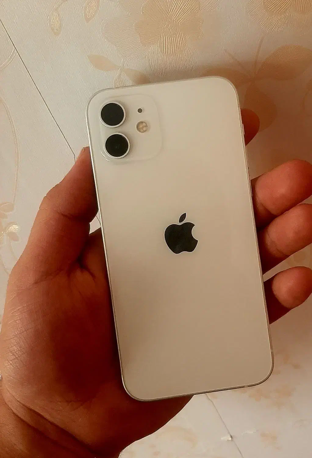 ایفون۱۲ نرمال ۲۵۶ گیگ|موبایل|تهران, سلسبیل شمالی|دیوار