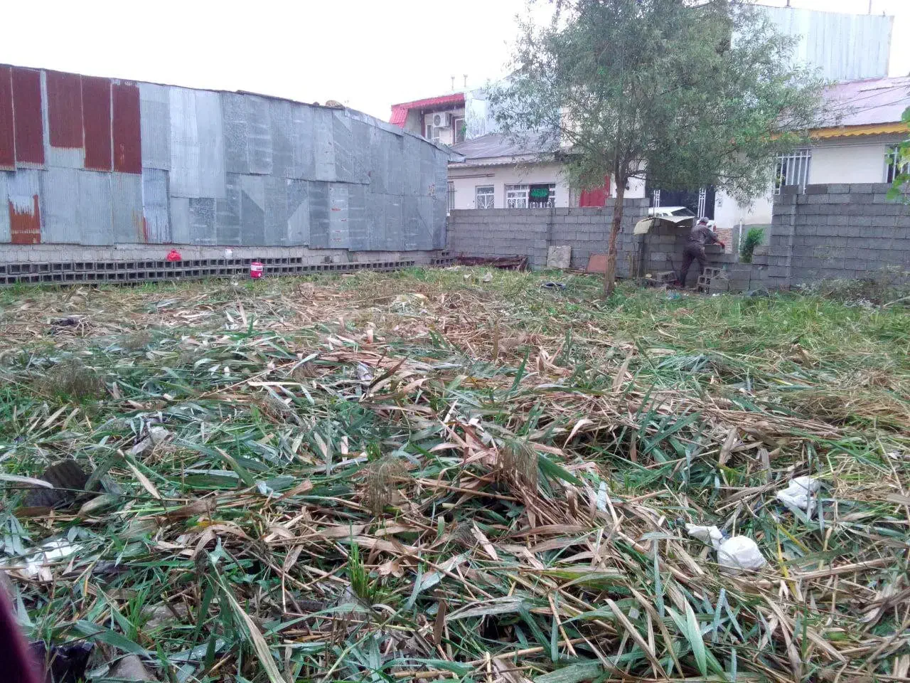 ۲۶۷متر زمین مسکونی سند تکبرگ واقع در پل طالشان|فروش زمین و ملک کلنگی|رشت, شهرک احمد خمینی|دیوار