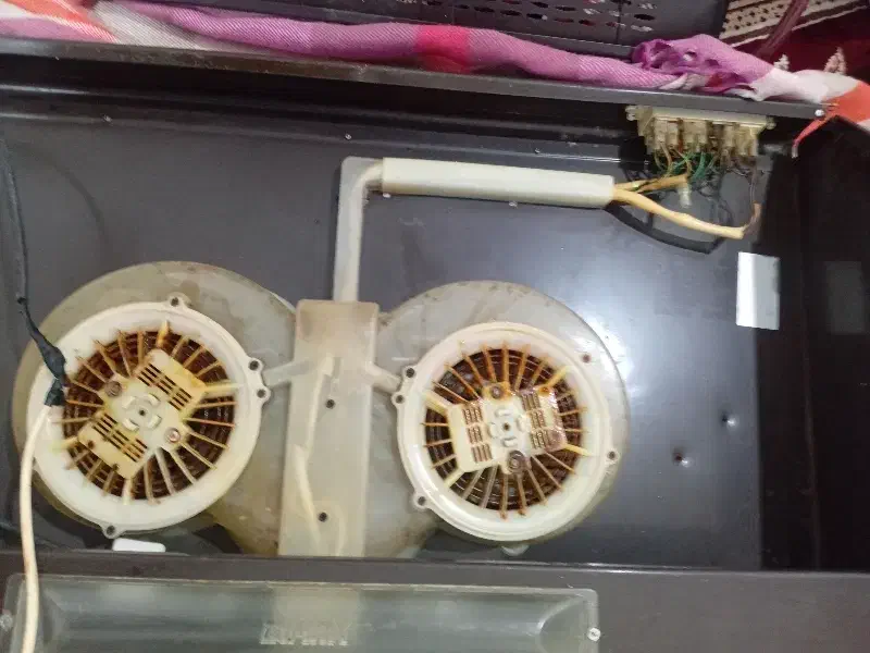 هود|هود|کارون, |دیوار