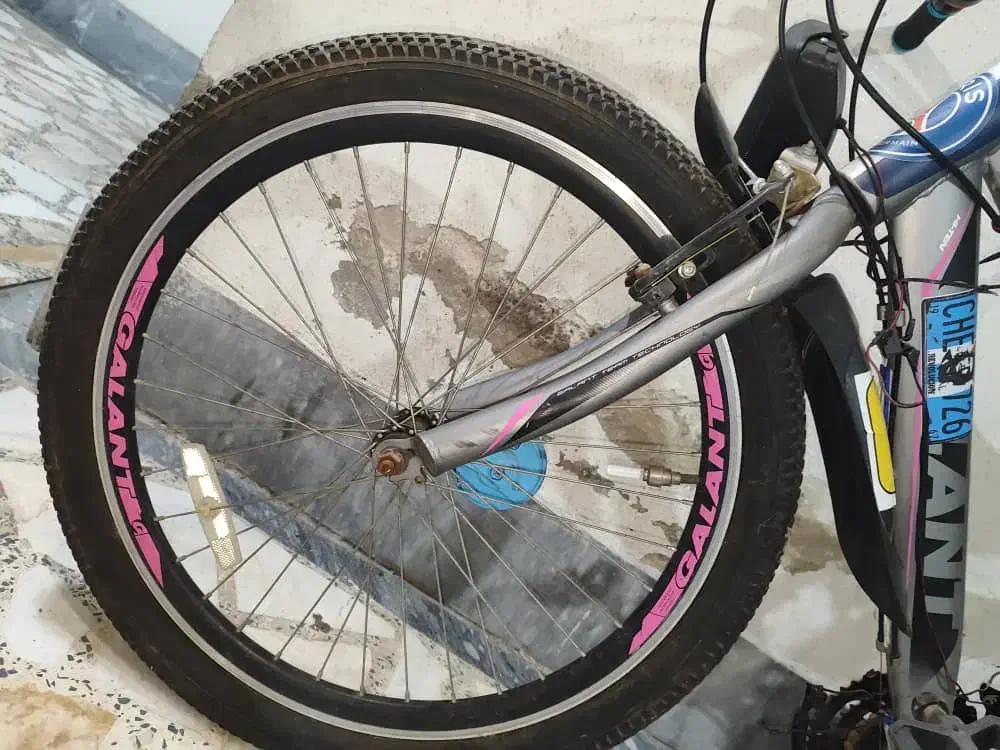 دوچرخه دنده ای سایز 24|دوچرخه، اسکیت، اسکوتر|رشت, توشیبا|دیوار